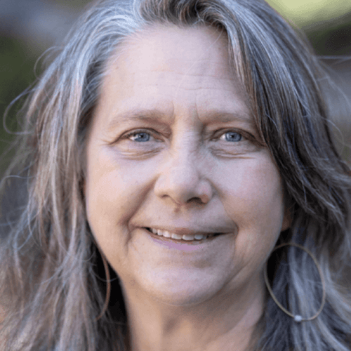 inar The Silver Tsunami A Deeper Dive